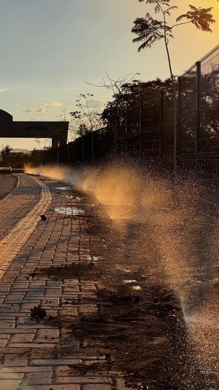 Aspersores funcionando ao pôr do sol na área da balança da Nova Ceasa